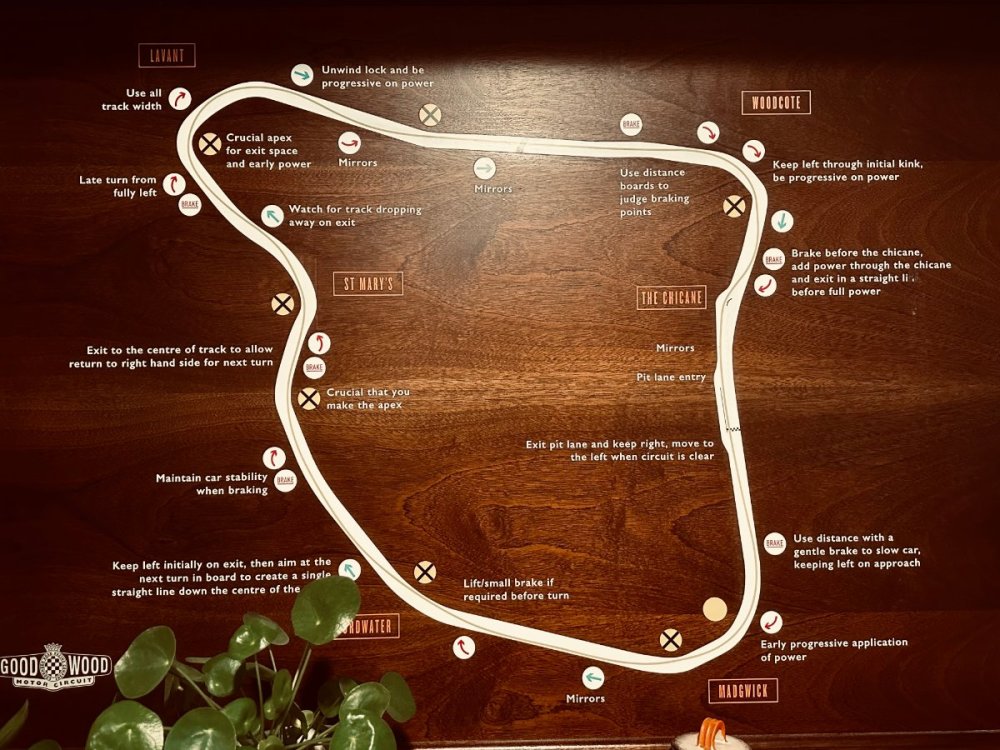 Photo Nov 04 2023, 7 27 27 AM.jpg