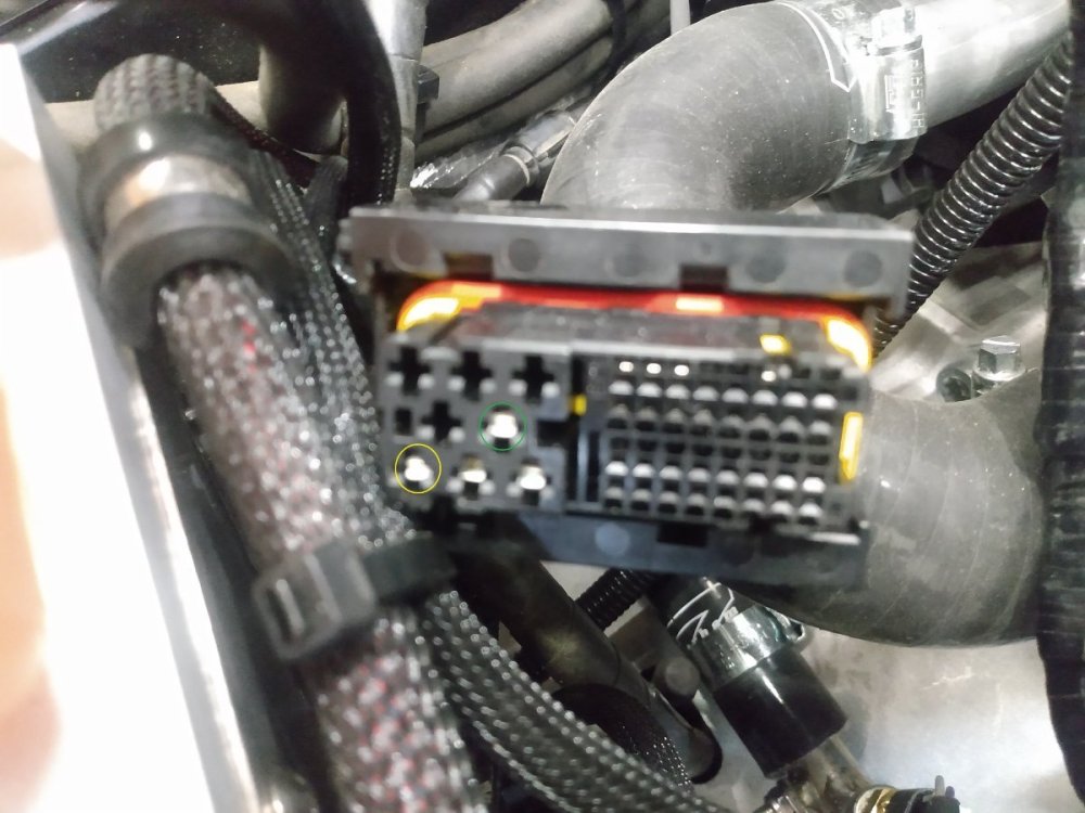 ECUConnector.thumb.jpg.90c540dbc30ec0cee091172632c950db.jpg