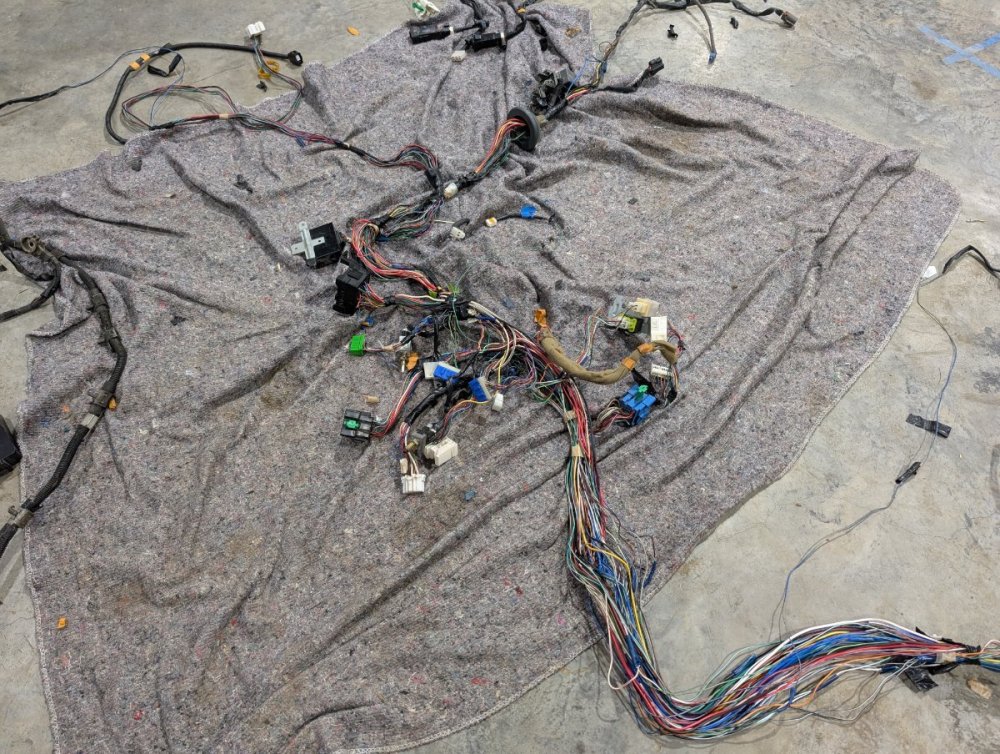 2024-12-28 15.02.14.jpg