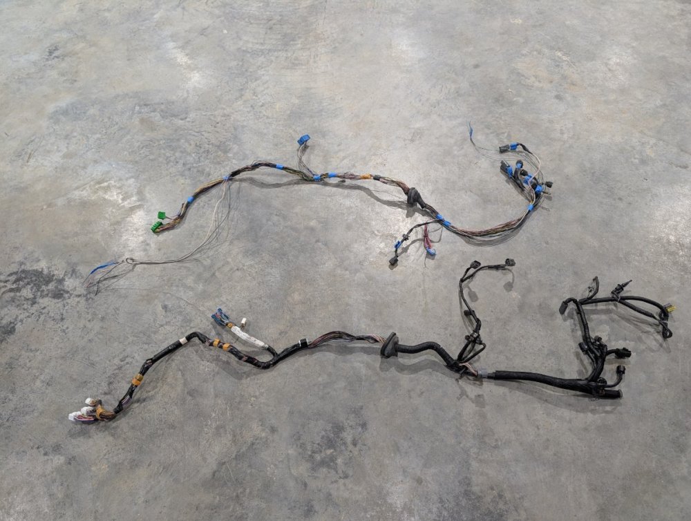 2025-01-11 10.38.34.jpg