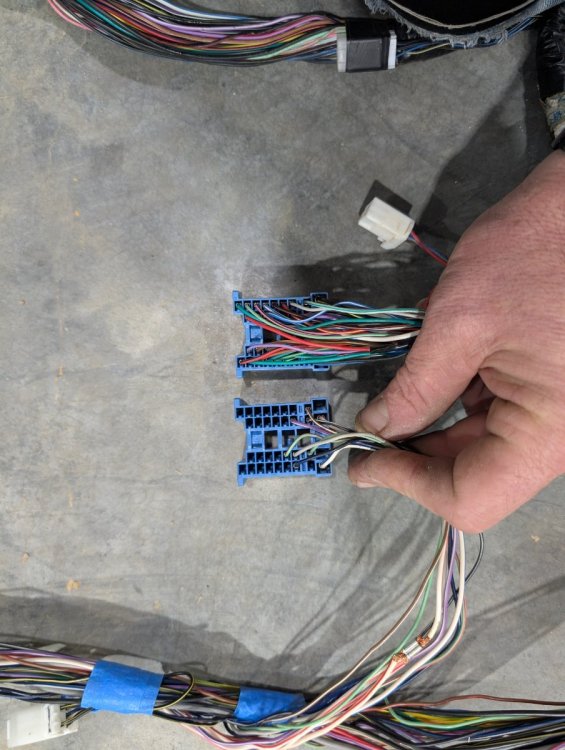 2025-01-11 10.39.24.jpg