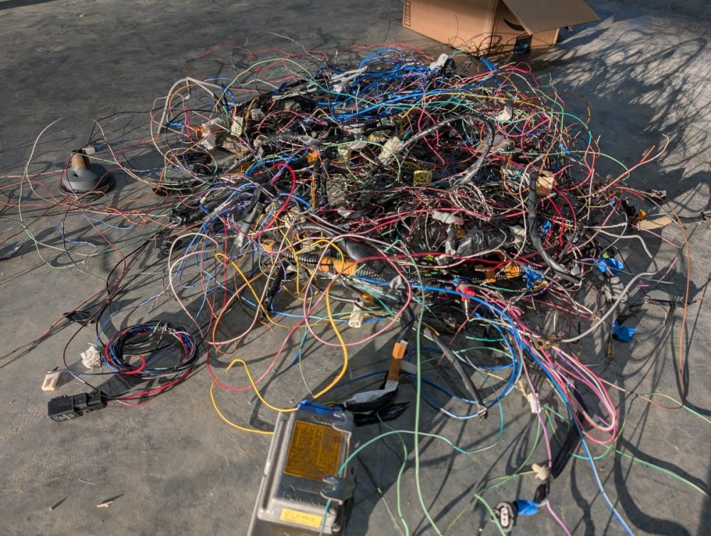 2025-01-13 16.37.01.jpg