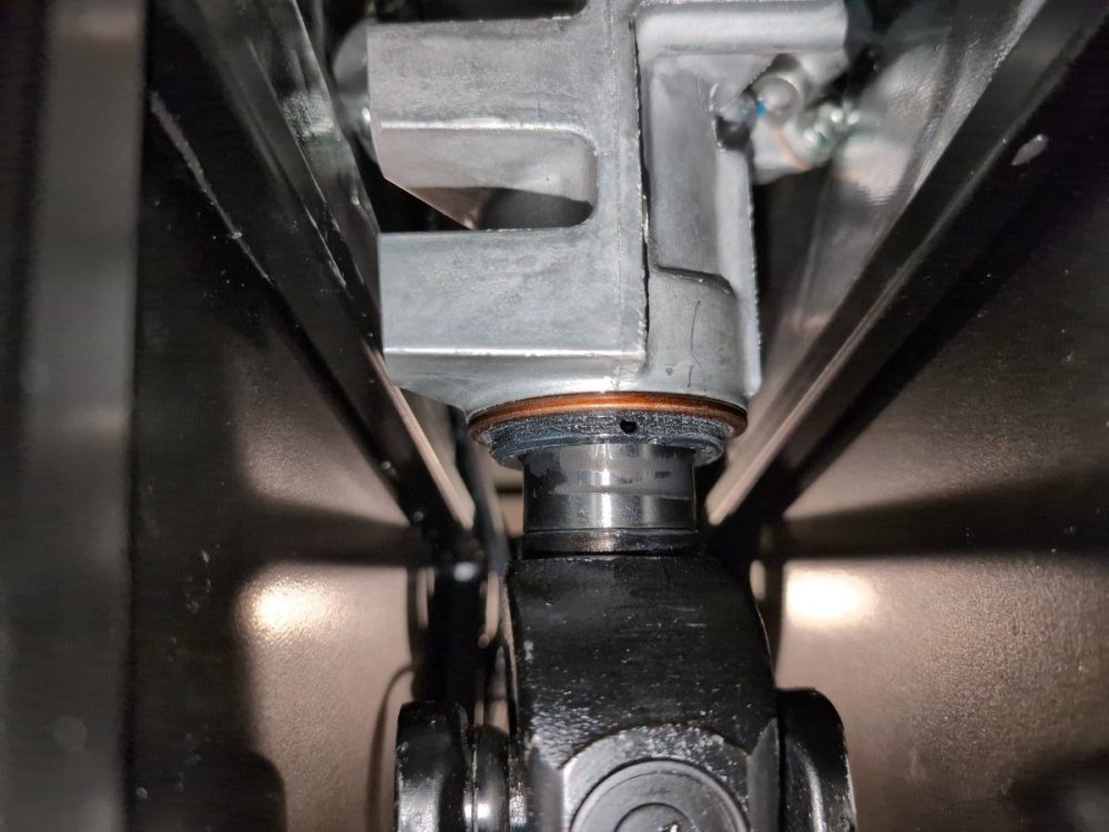 8f2c1ca9-23da-47e3-91c5-6f84f3b93d5e (1).jpg