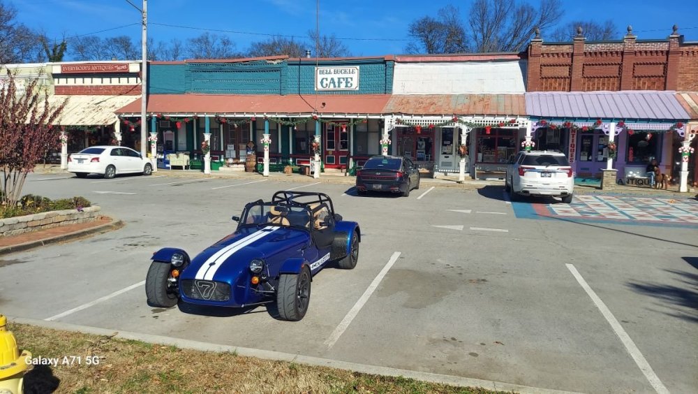 Cat at Bell Buckle.jpg