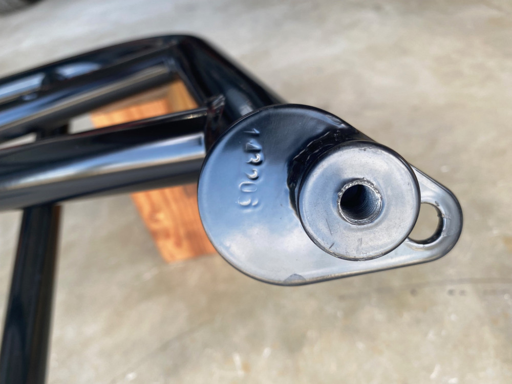 IMG_8304.jpeg