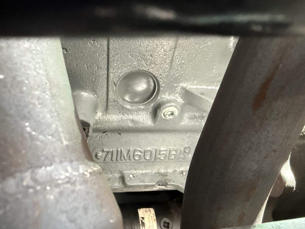 IMG_4363.jpeg