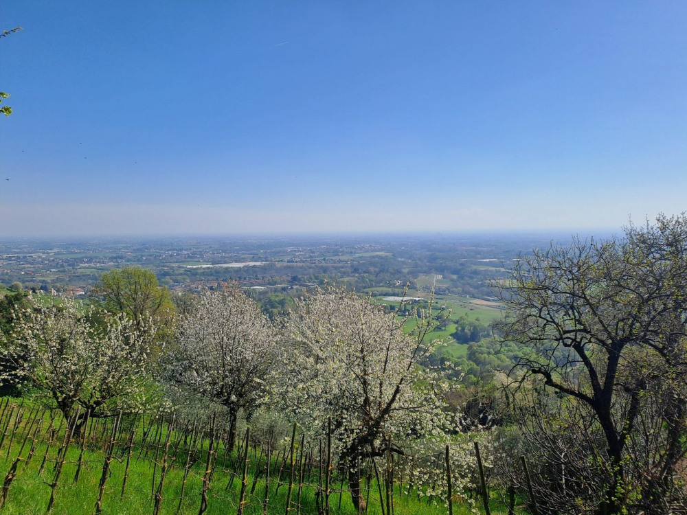 03_20260406_154905_ridotta.jpg