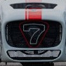 RingCat8
